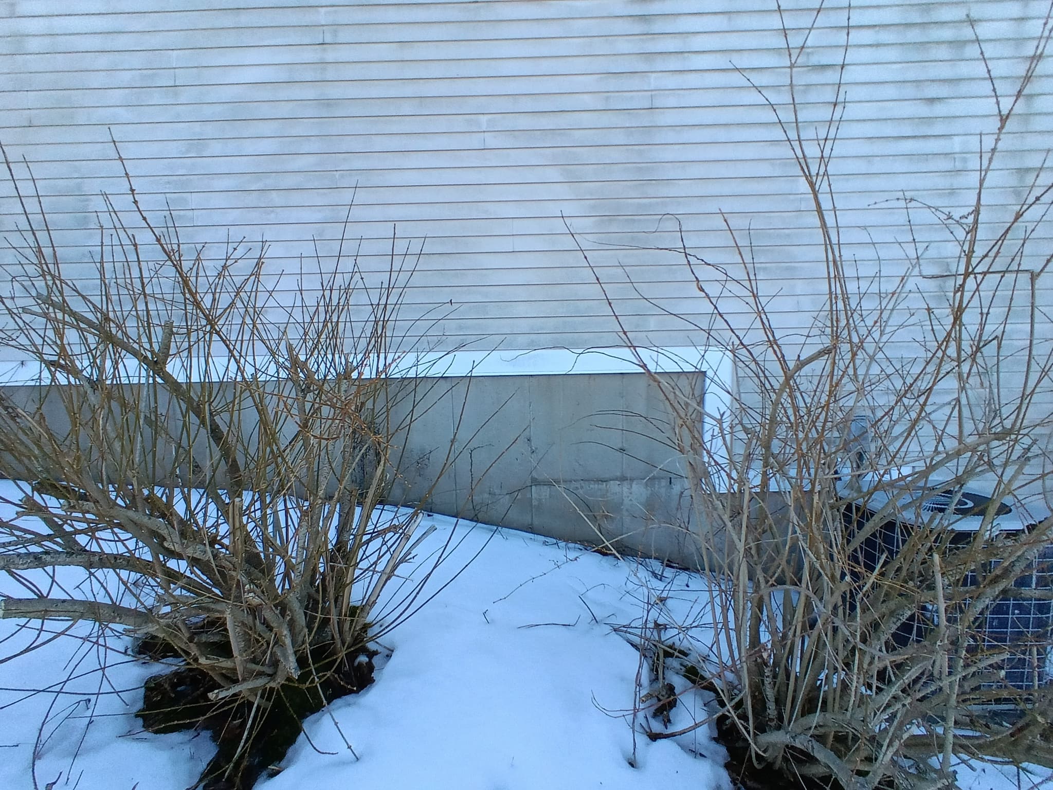 Gutter cleaning service