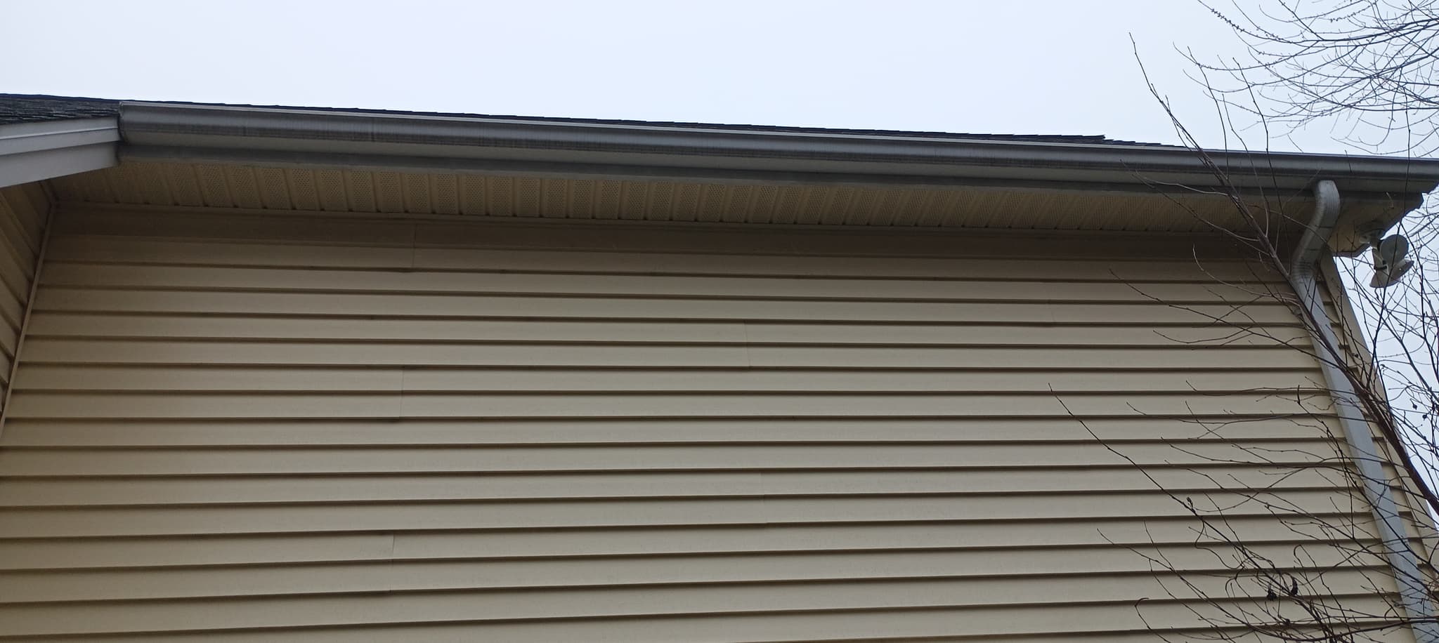 Professional gutter cleaning