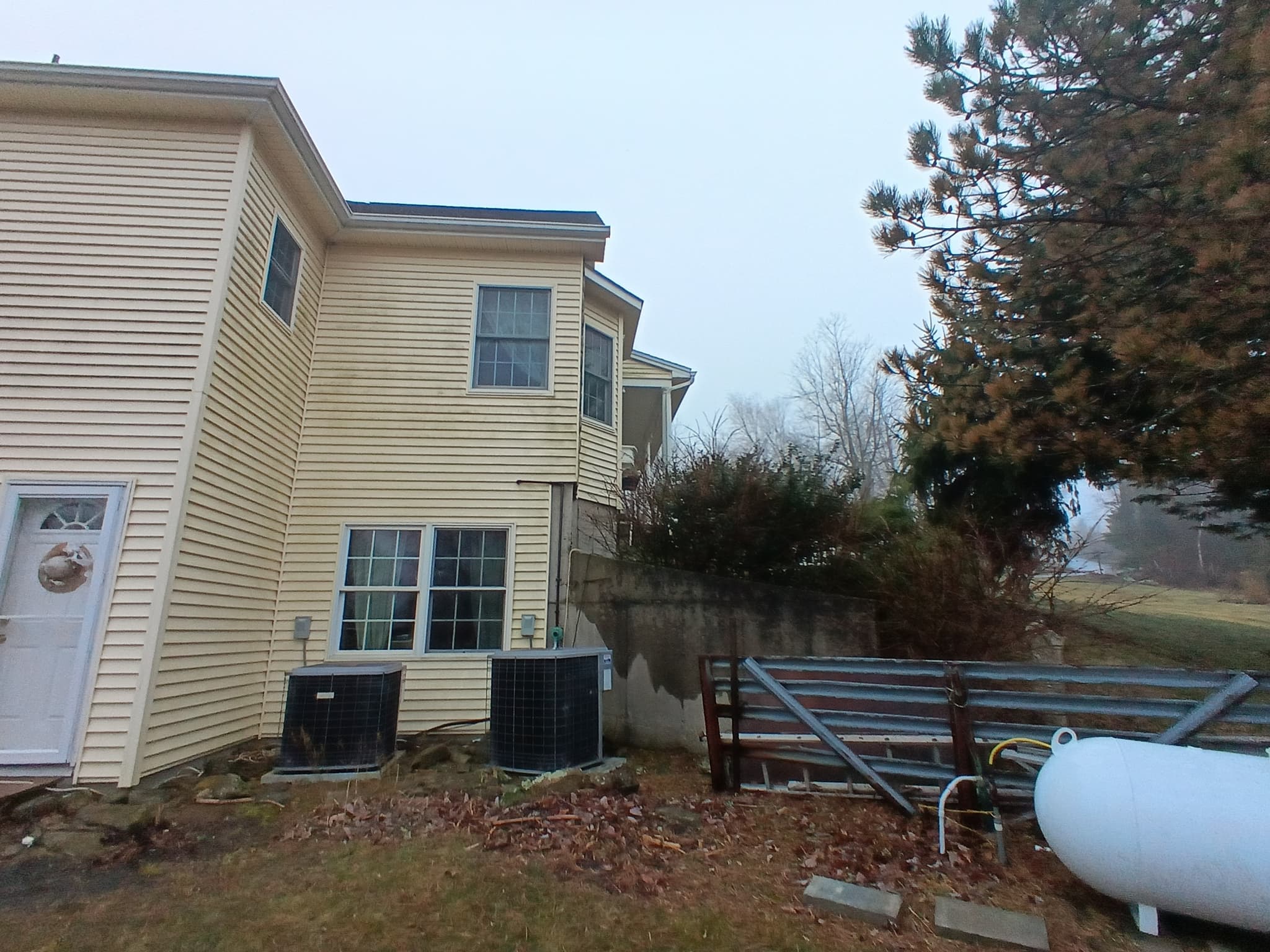 Roof stain removal